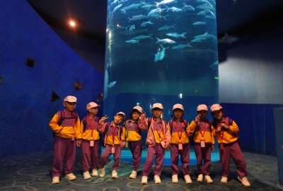 DSC00059
