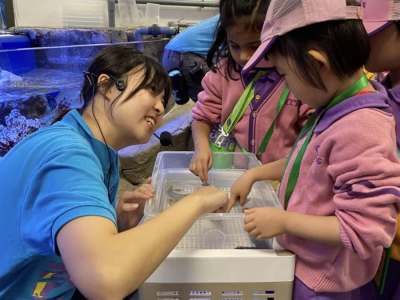 K3 class visits Ocean Park