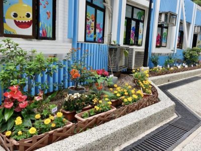 One person, one flower Tagetes erecta planting activity