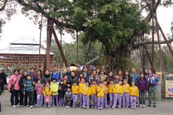 Tai Po Tree House Tour